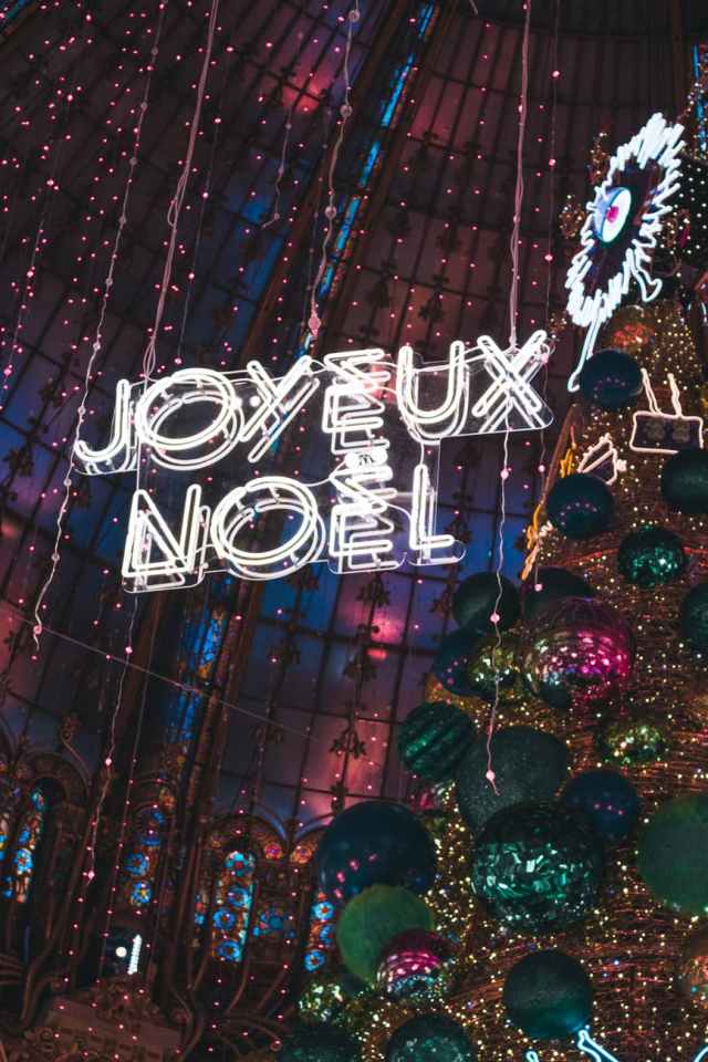 joyeux noel neon signage hanging beside christmas tree